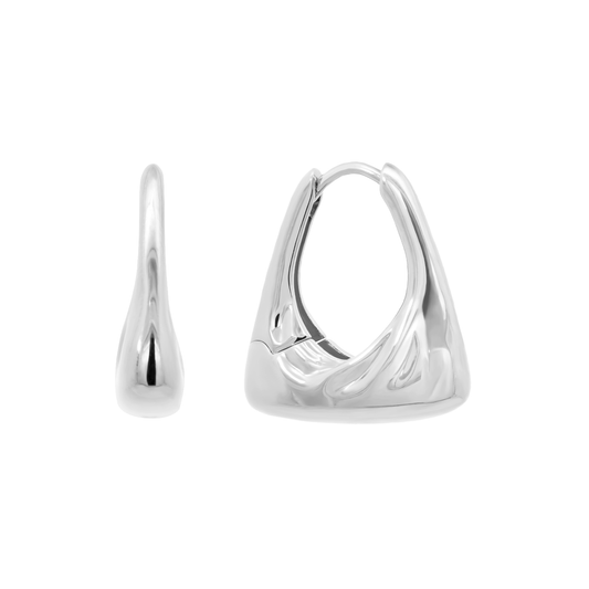 Silver Tetra Earrings